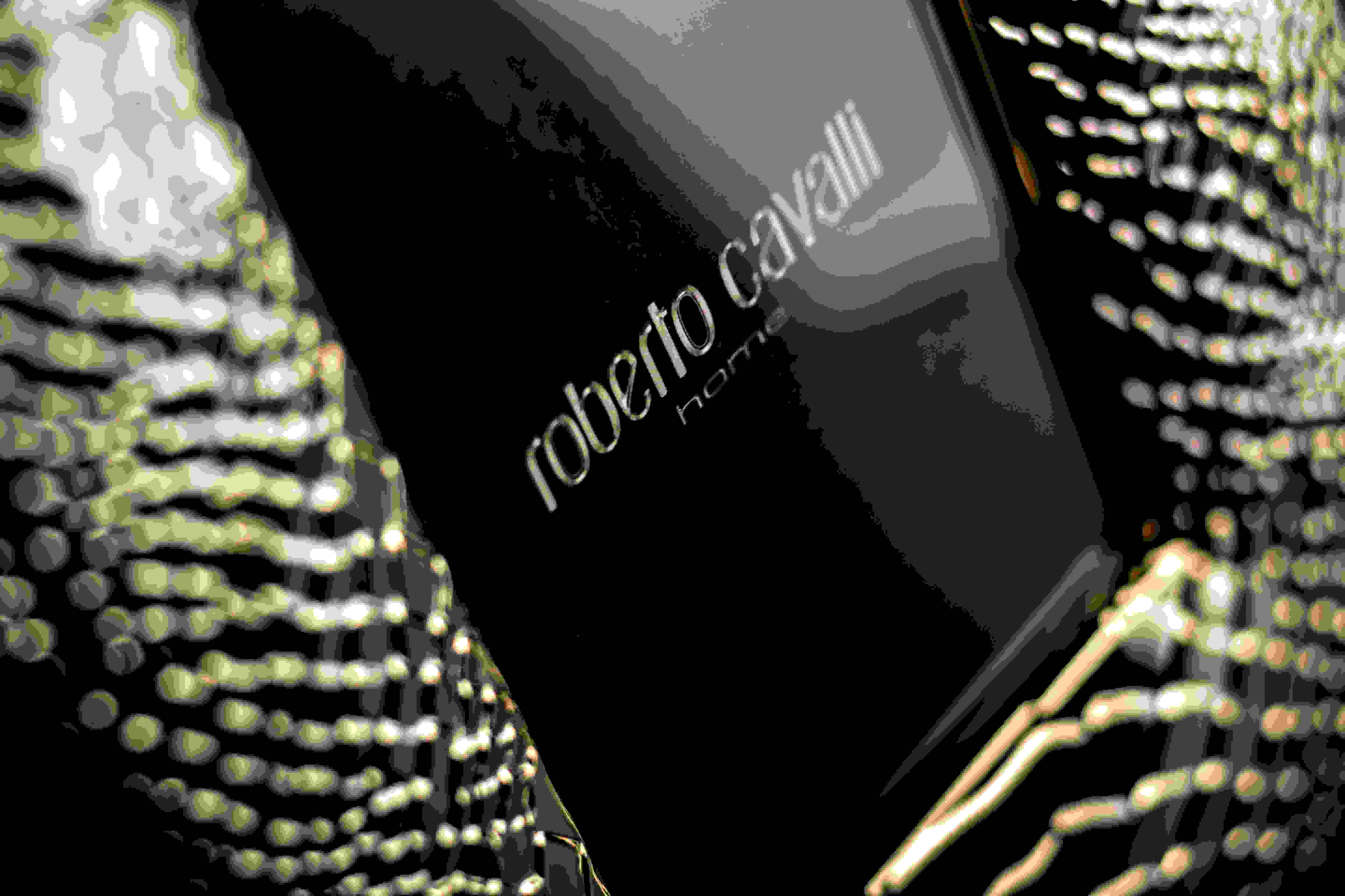 Roberto Cavalli Python 24k Gold Picture Frame 10x15cm RCHMPYG02