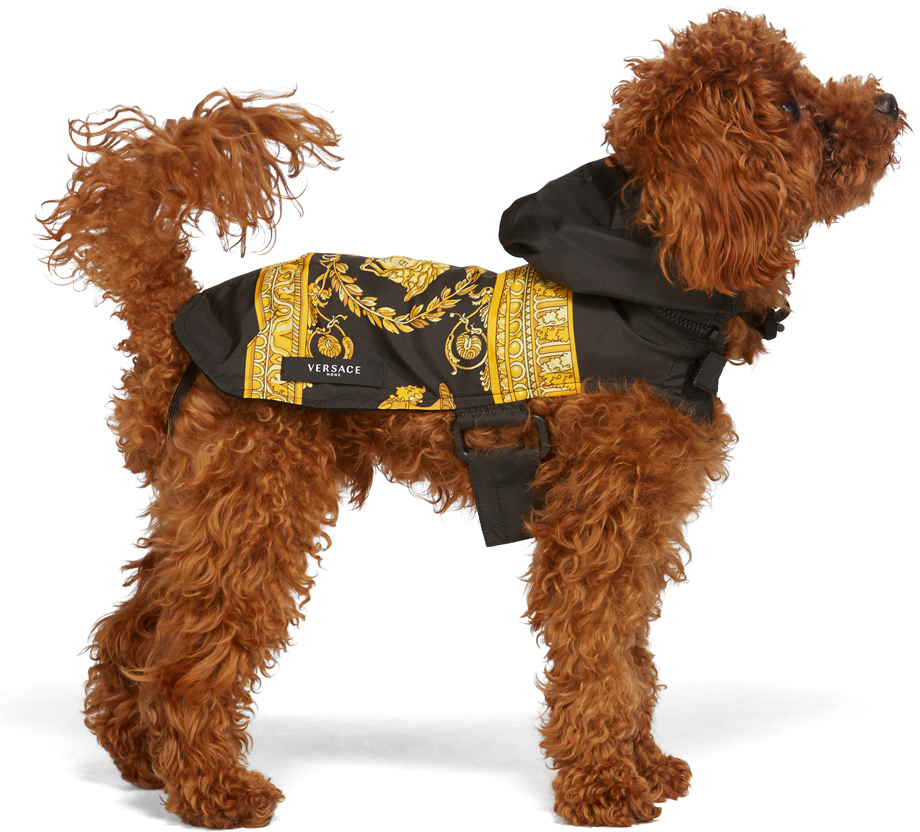 versace dog bathrobe