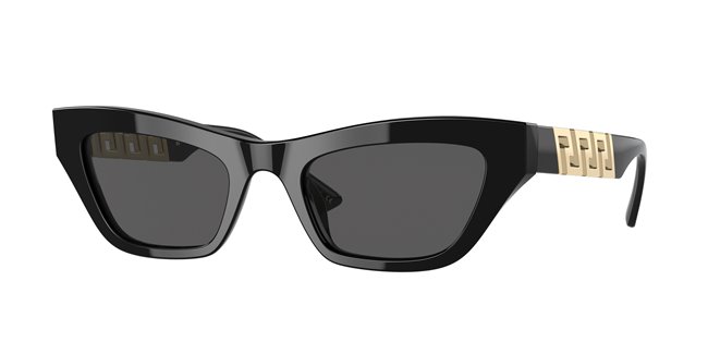 Versace Sunglasses 0VE4419 GB1/8153