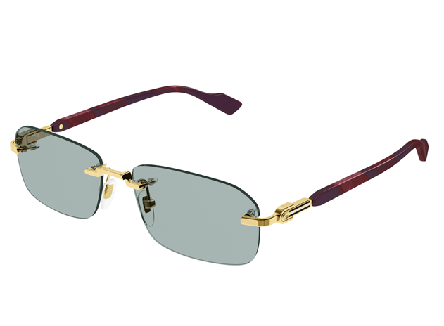 Gucci GG1221S 003
