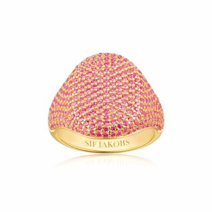 Capizzi Pink/18k Gold Plated Ring R42240-PKCZ-YG