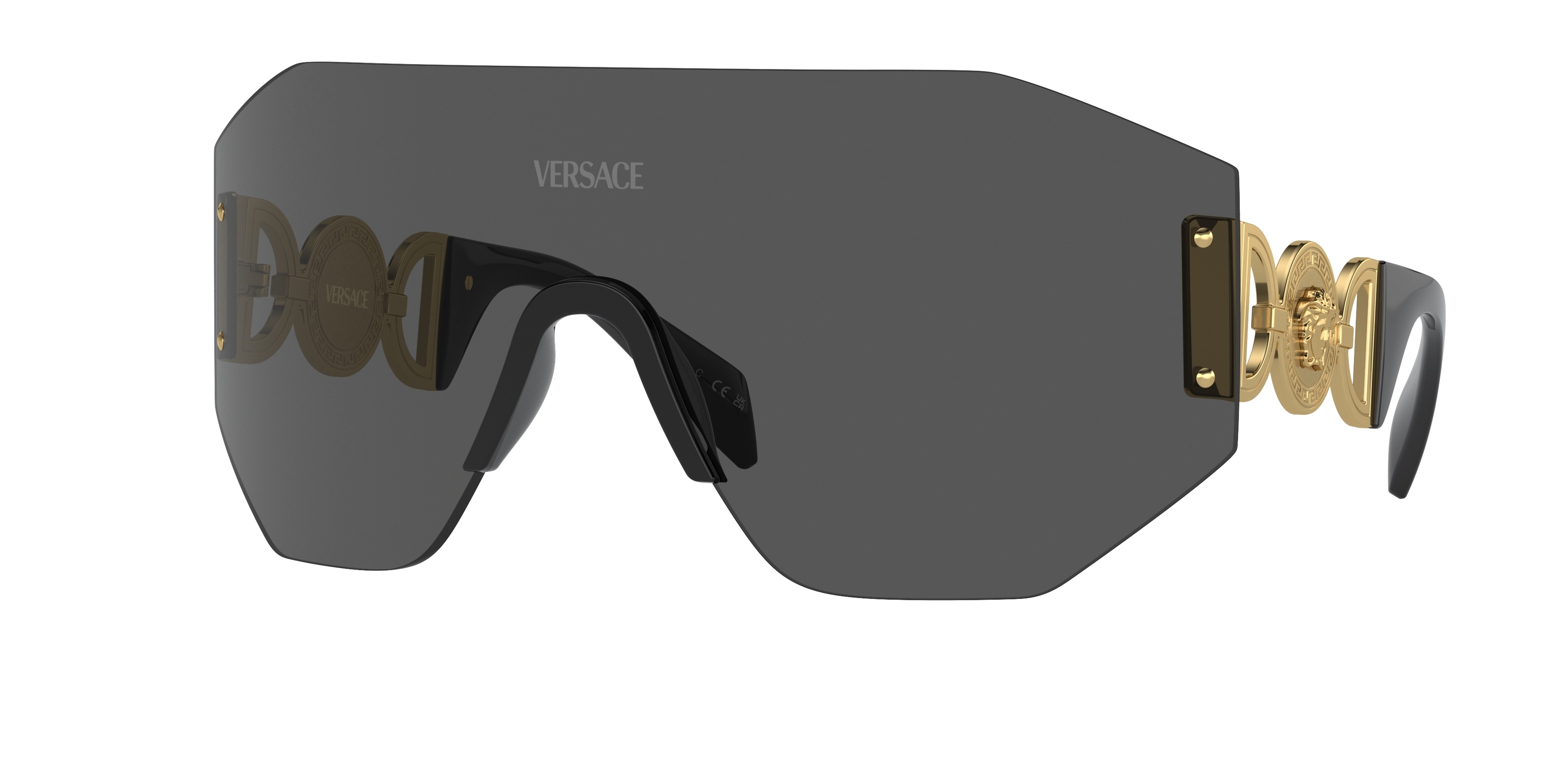 Versace Sunglasses 0VE2258 10028745