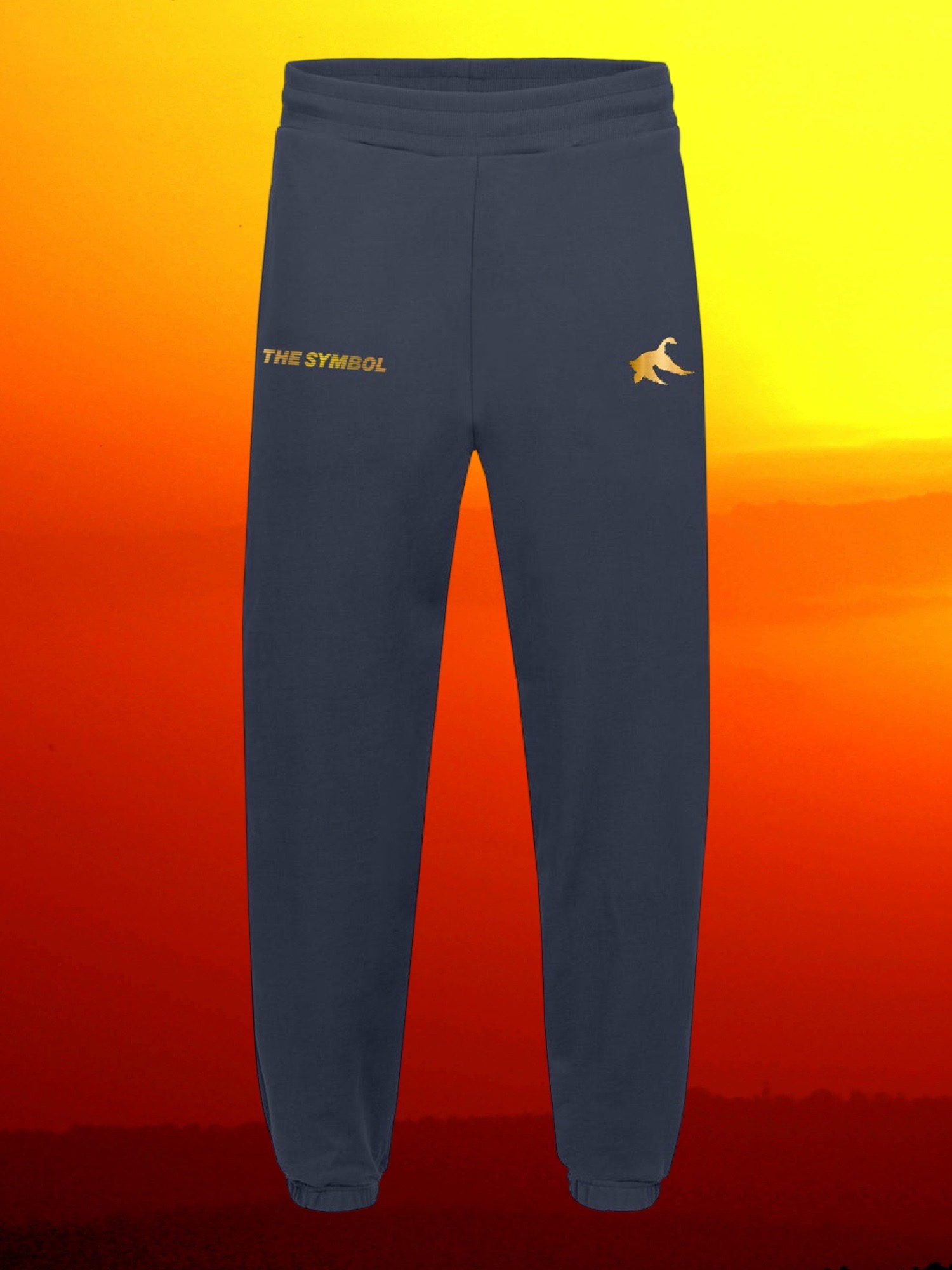 THE SYMBOL Golden Goose Relaxed Sweatpants Navy