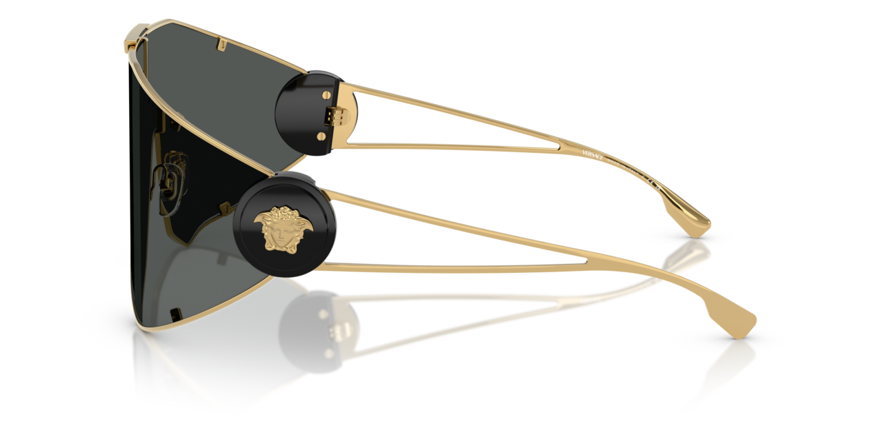 Versace Sunglasses 0VE2268 10028742