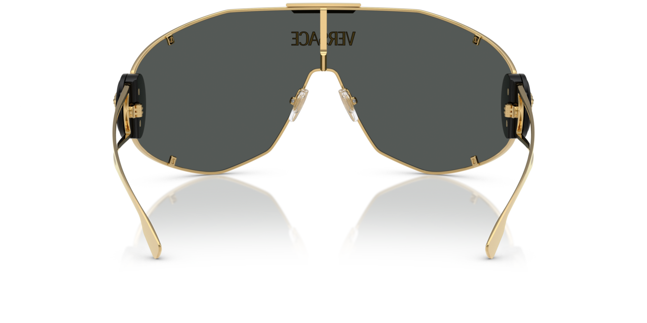 Versace Sunglasses 0VE2268 10028742