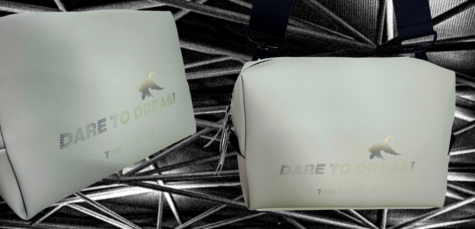 LASER BAGS DARE TO DREAM BANNER 1700 X 820