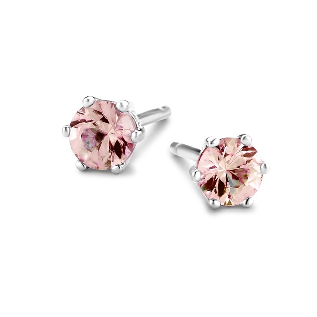 Garonne Sterling Silver Earrings 9NB-0429