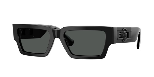 Versace Sunglasses 0VE4459 53608754