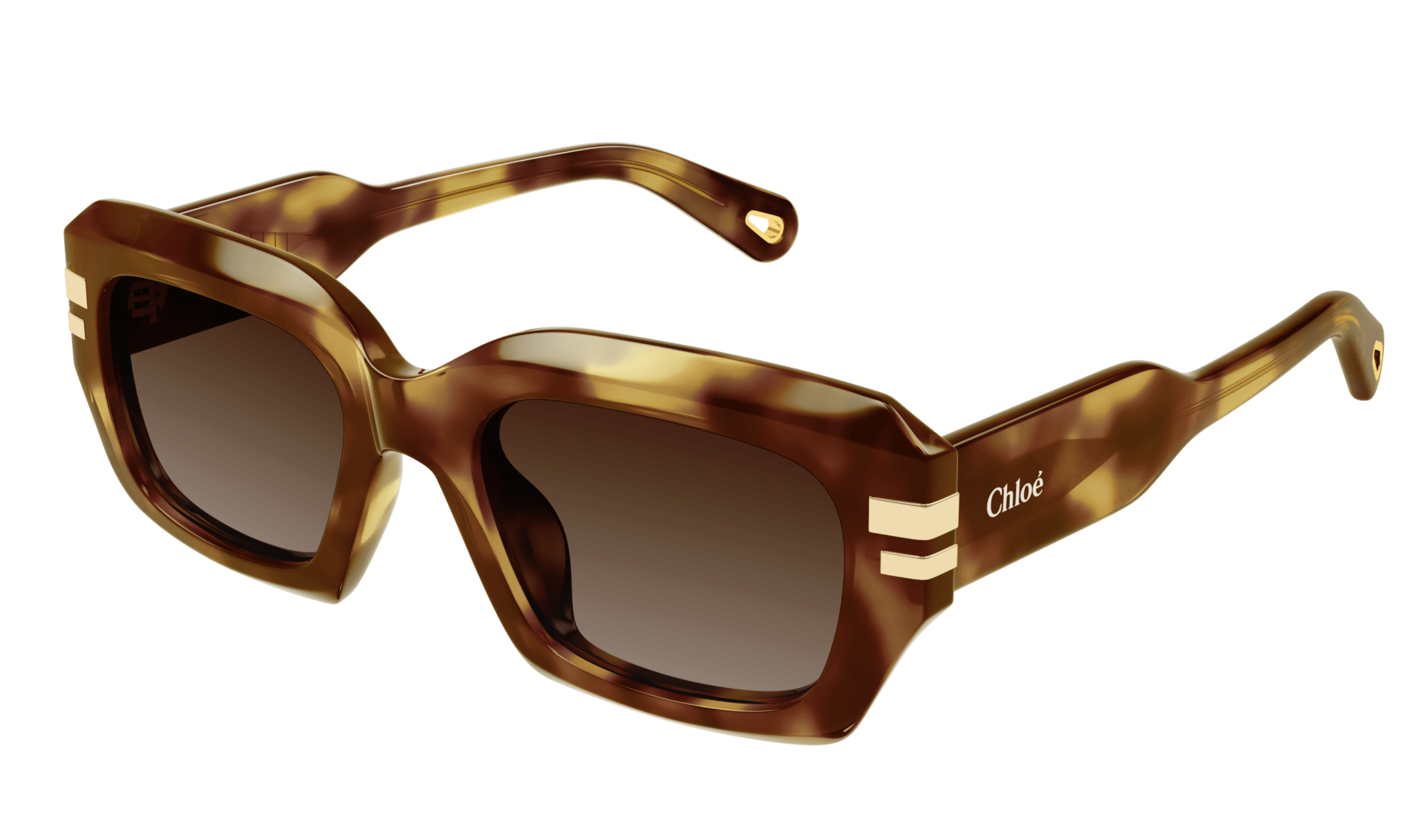 Chloe Sunglasses CH0256S 002
