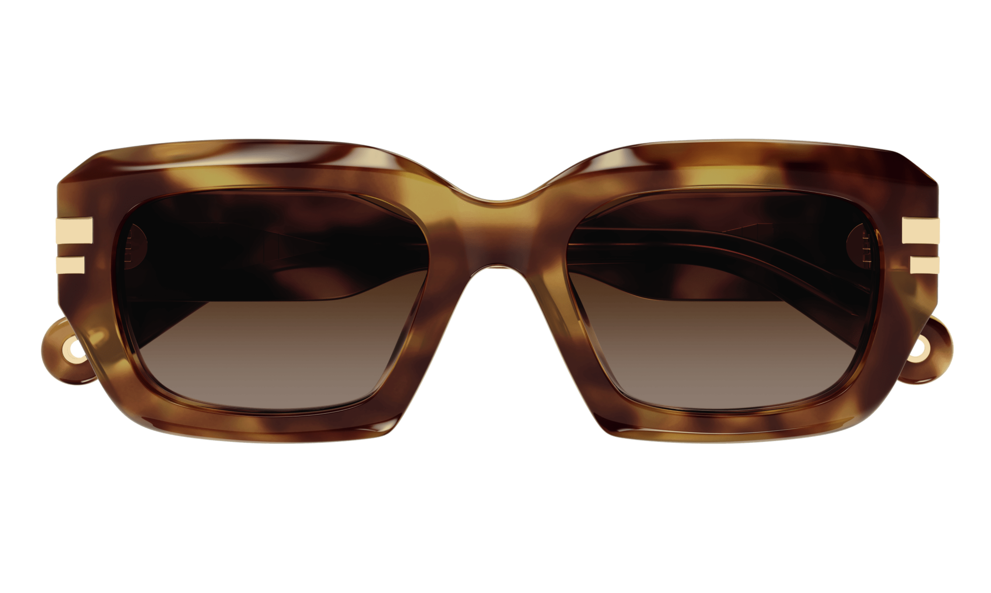 Chloe Sunglasses CH0256S 002
