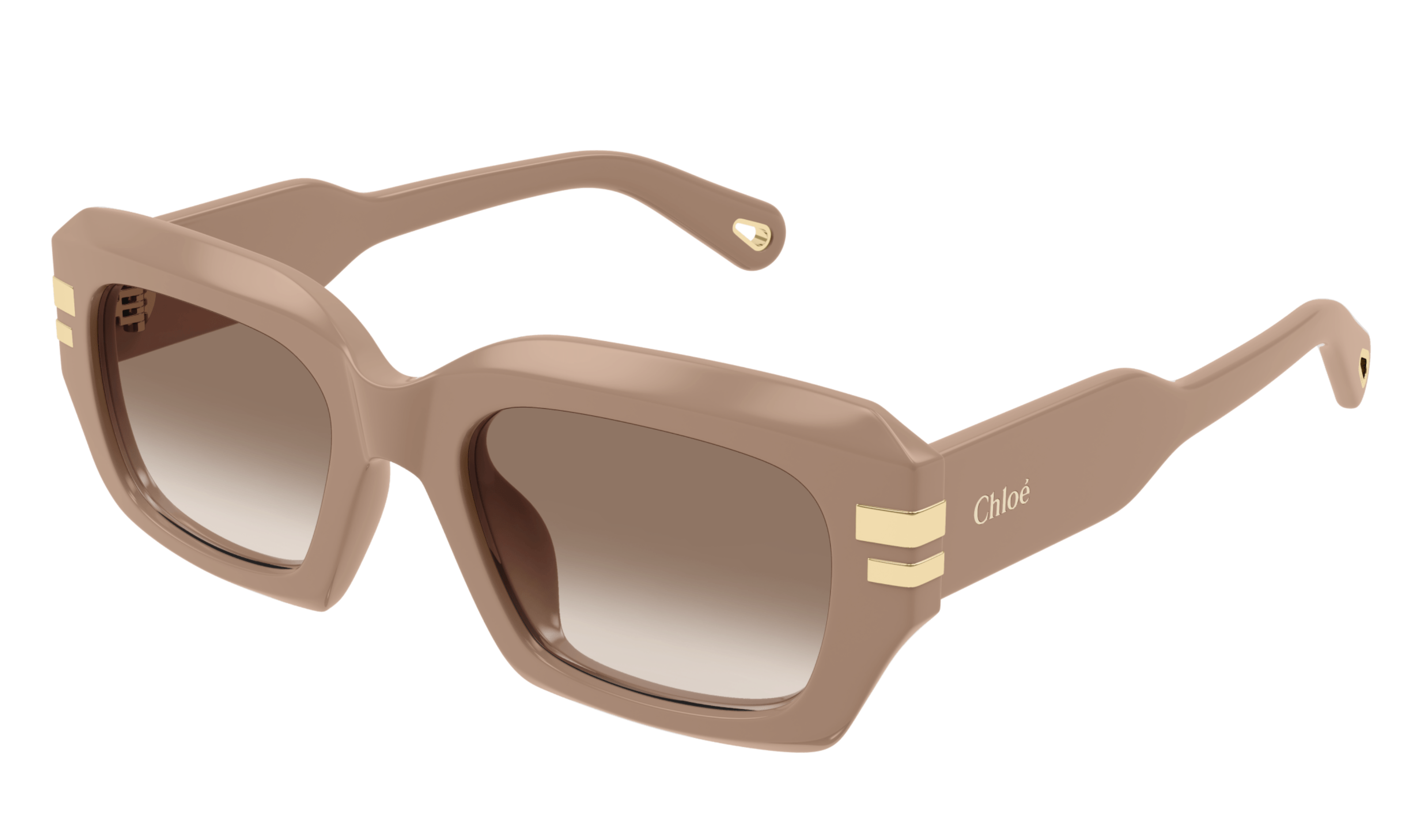 Chloe Sunglasses CH0256S 005
