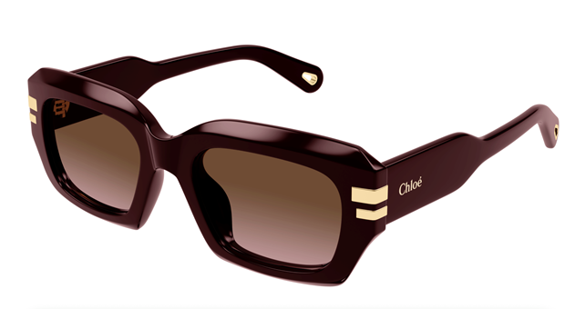 Chloe Sunglasses CH0256S 004