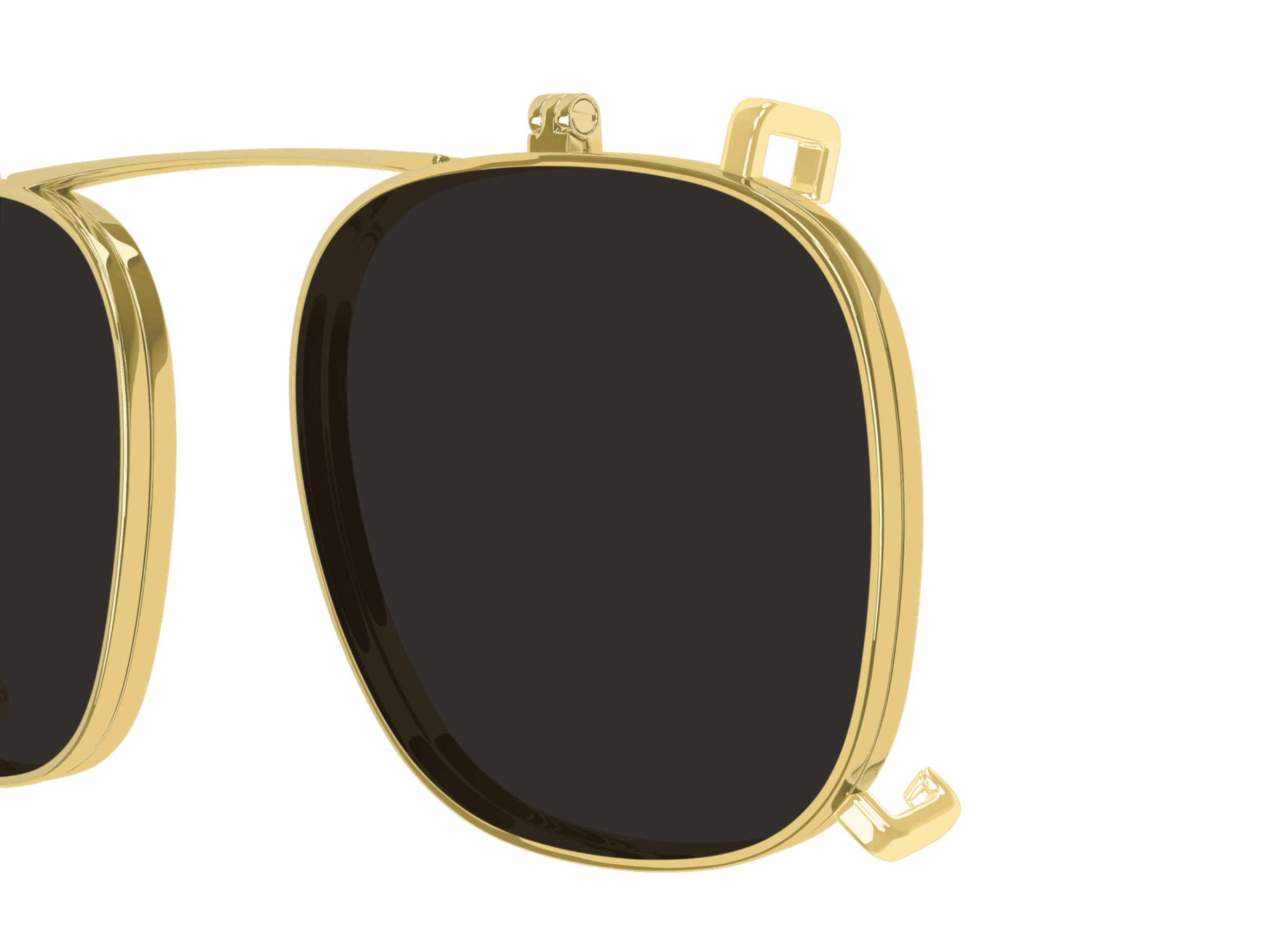 BOTTEGA VENETA BV1429S 001