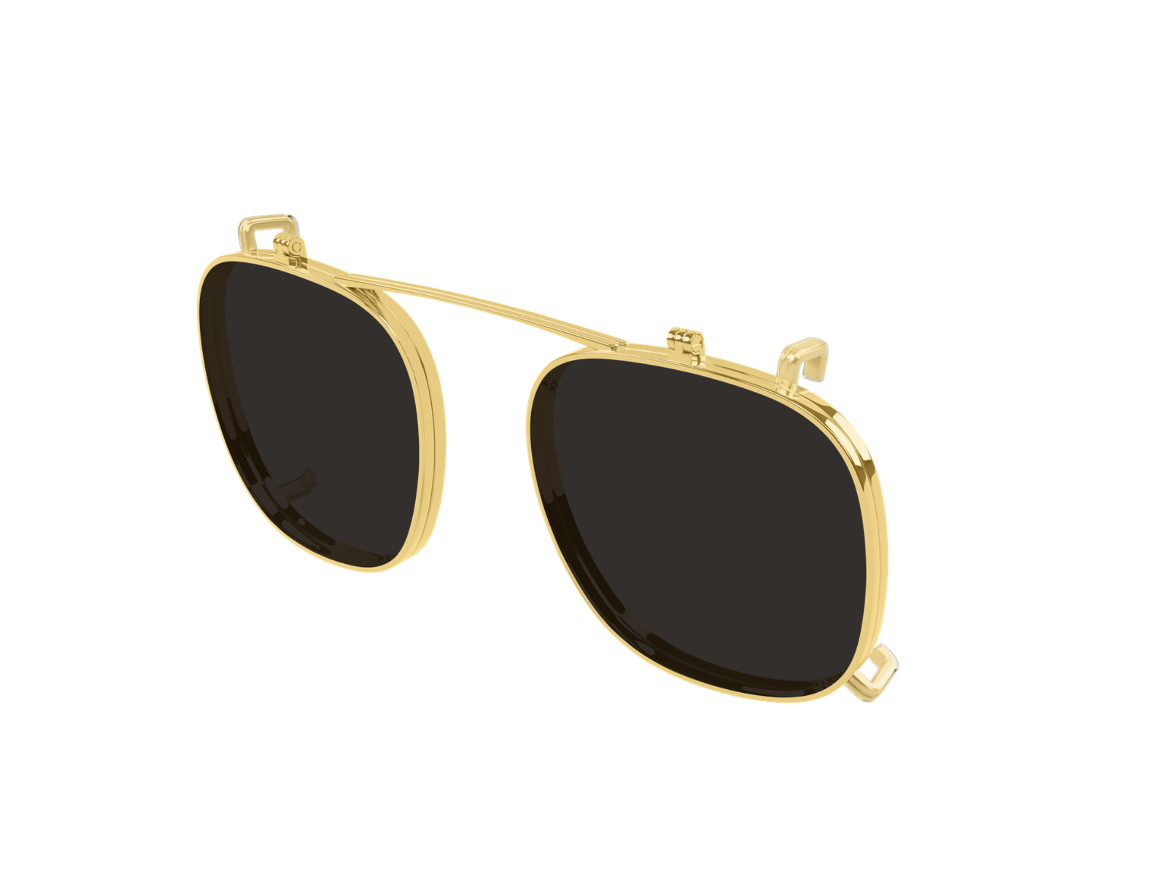 BOTTEGA VENETA BV1429S 001