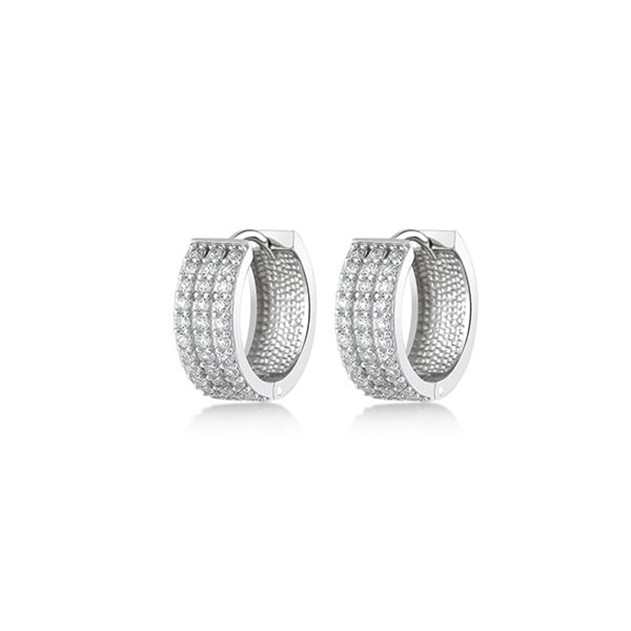 Swing Sterling Silver Earrings E77049