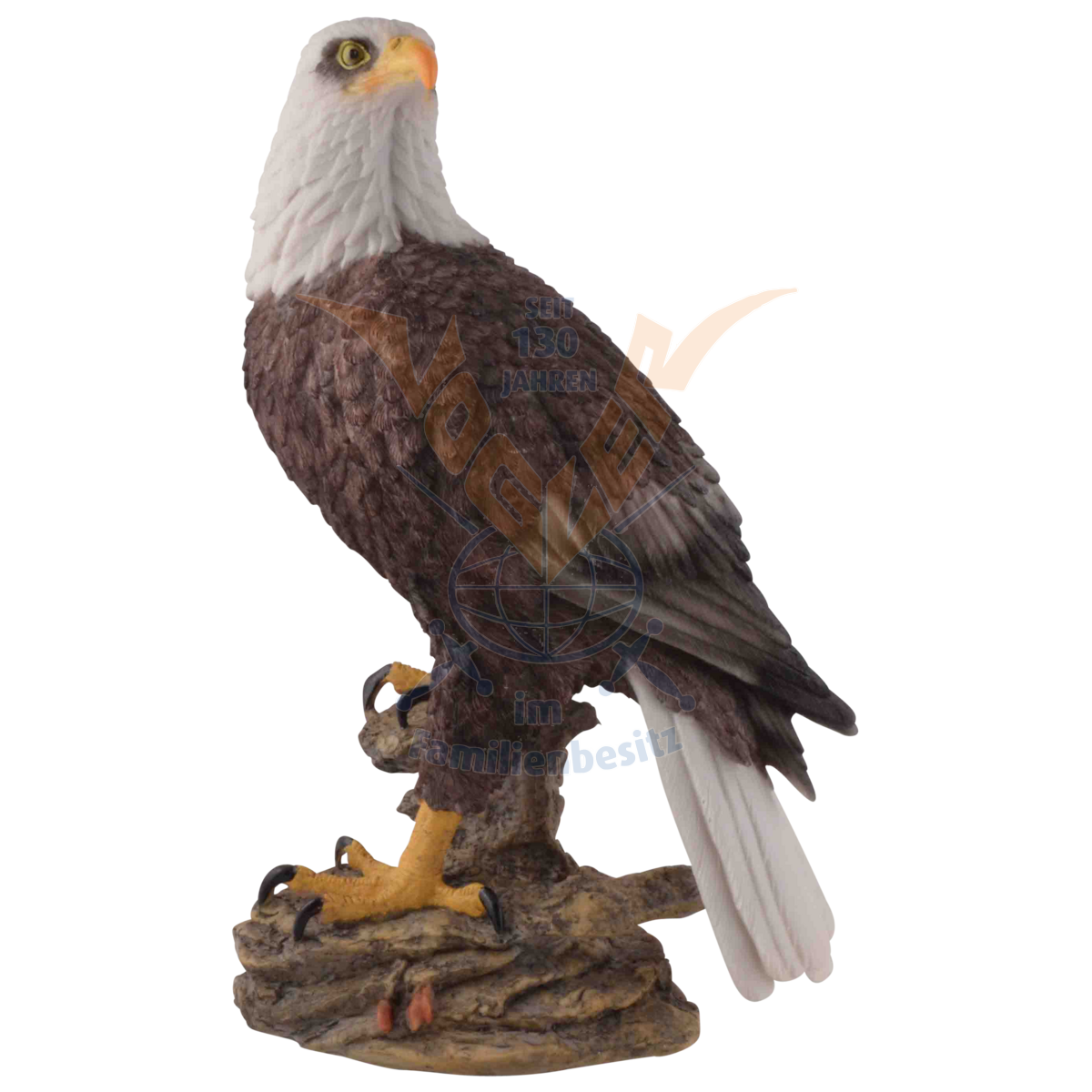 Attentive Bald Eagle 35cm 839-3961
