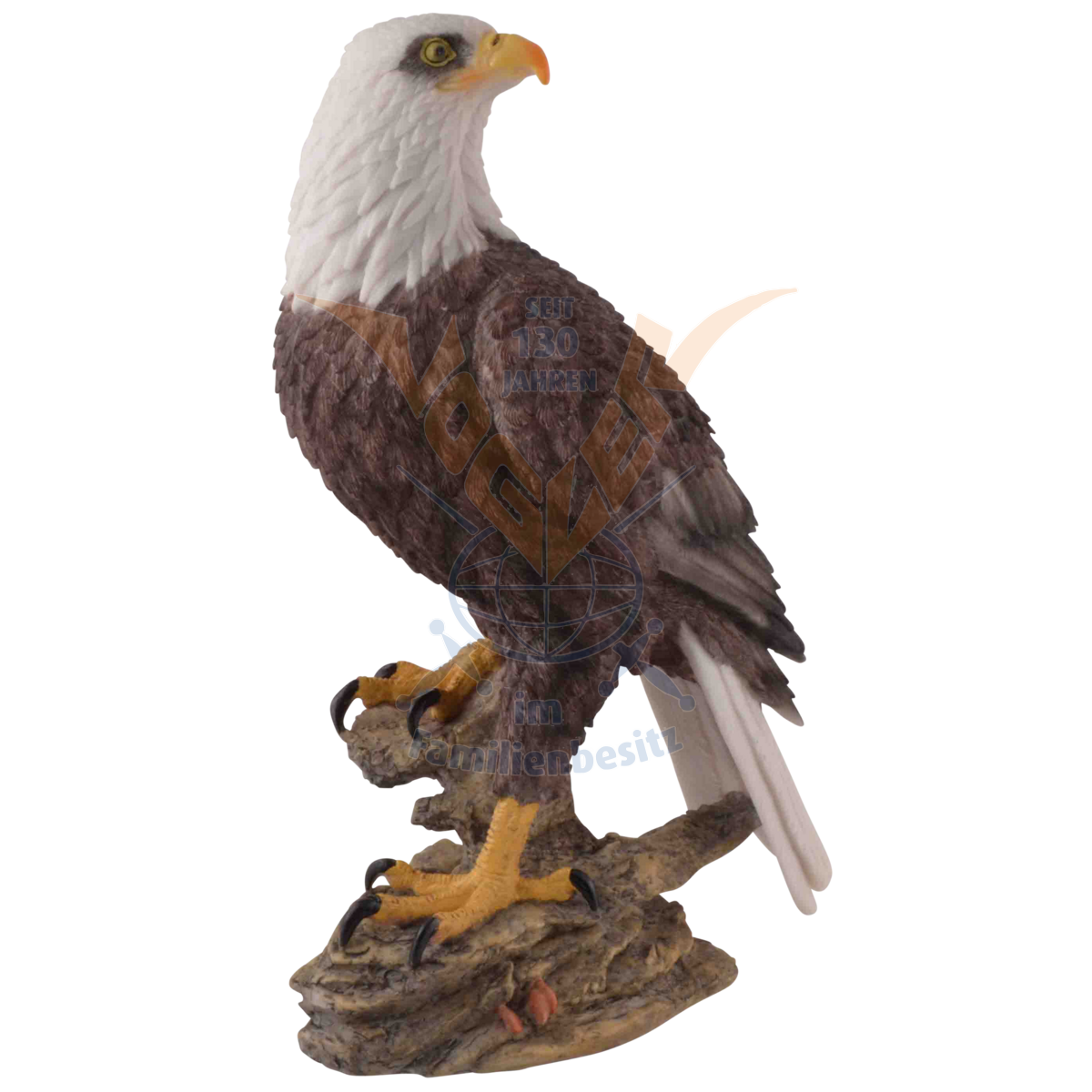 Attentive Bald Eagle 35cm 839-3961