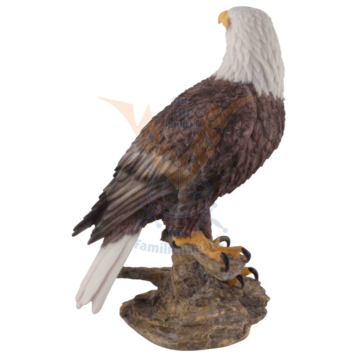 Attentive Bald Eagle 35cm 839-3961