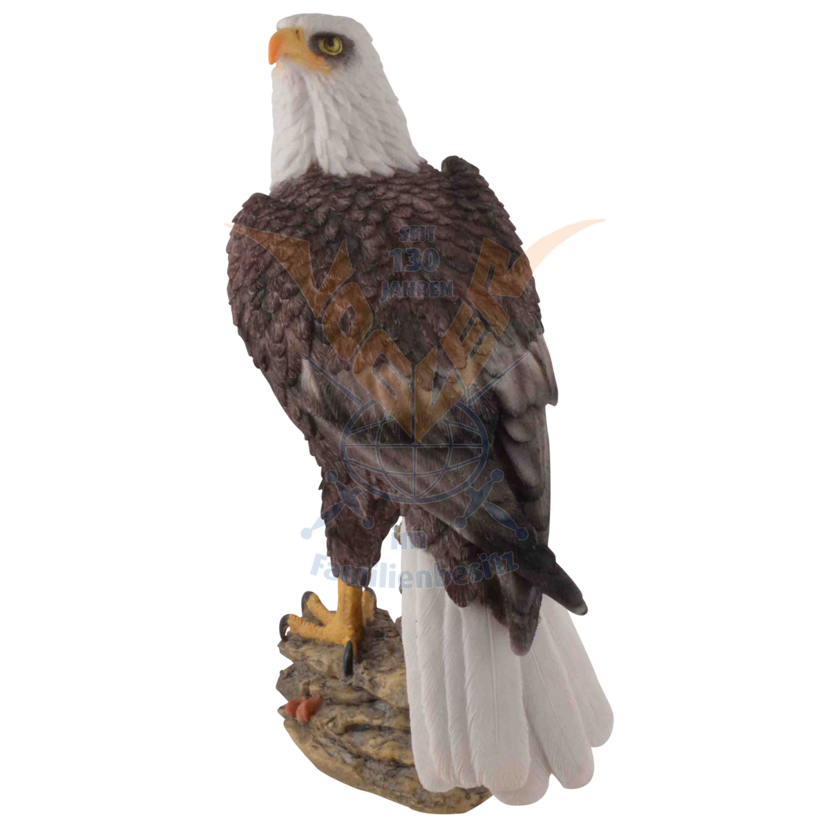 Attentive Bald Eagle 35cm 839-3961