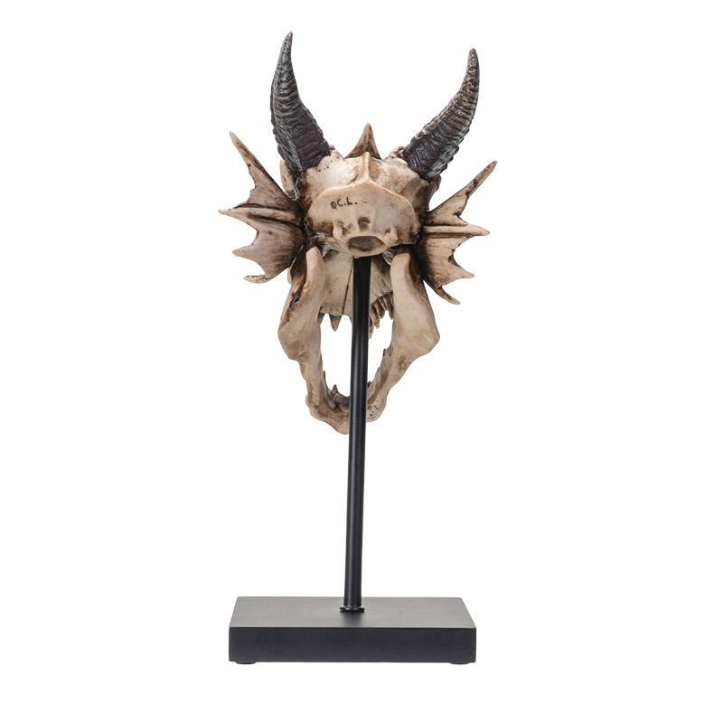 Dragon Skull Sculpture 32cm 14525