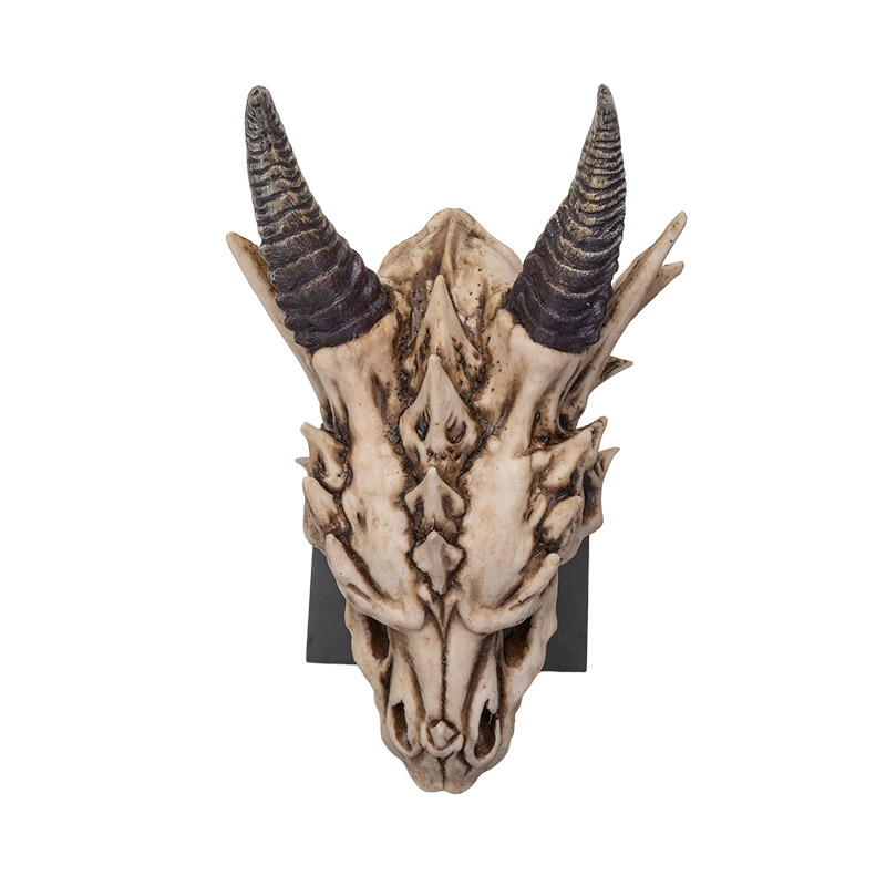 Dragon Skull Sculpture 32cm 14525