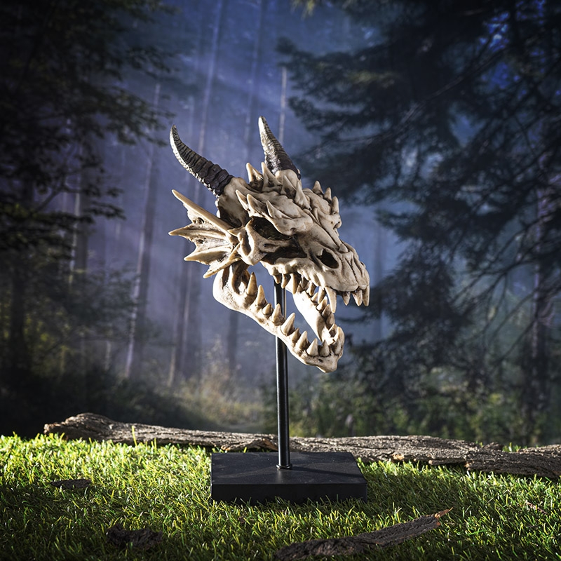 Dragon Skull Sculpture 32cm 14525