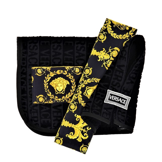 versace dog bathrobe